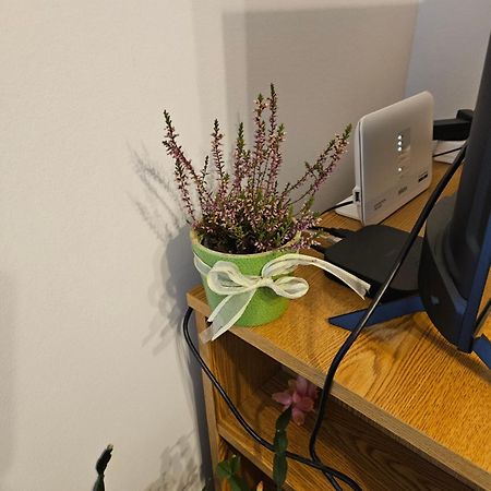 Apartman Noa Knin Extérieur photo
