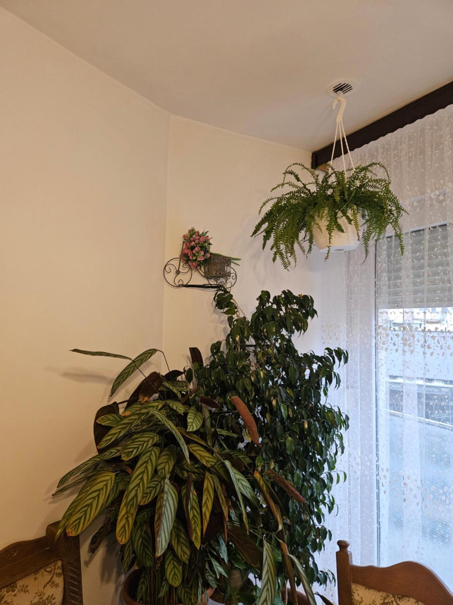 Apartman Noa Knin Extérieur photo