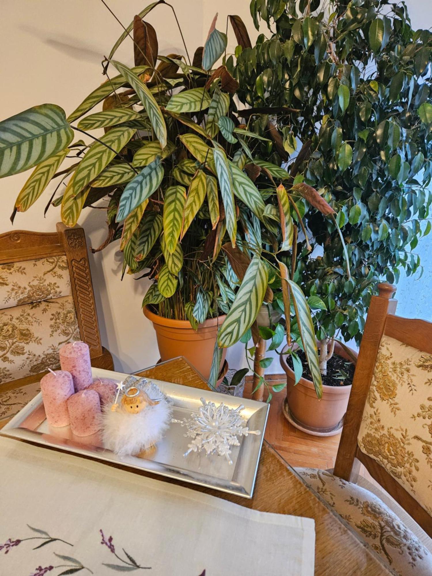 Apartman Noa Knin Extérieur photo