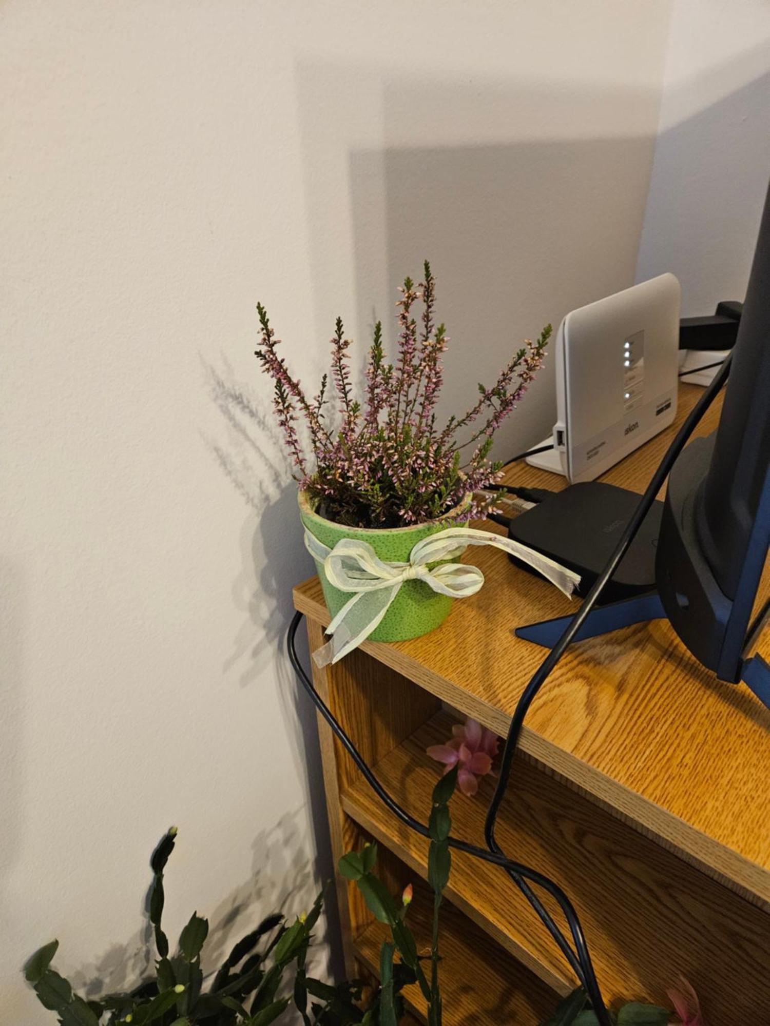 Apartman Noa Knin Extérieur photo